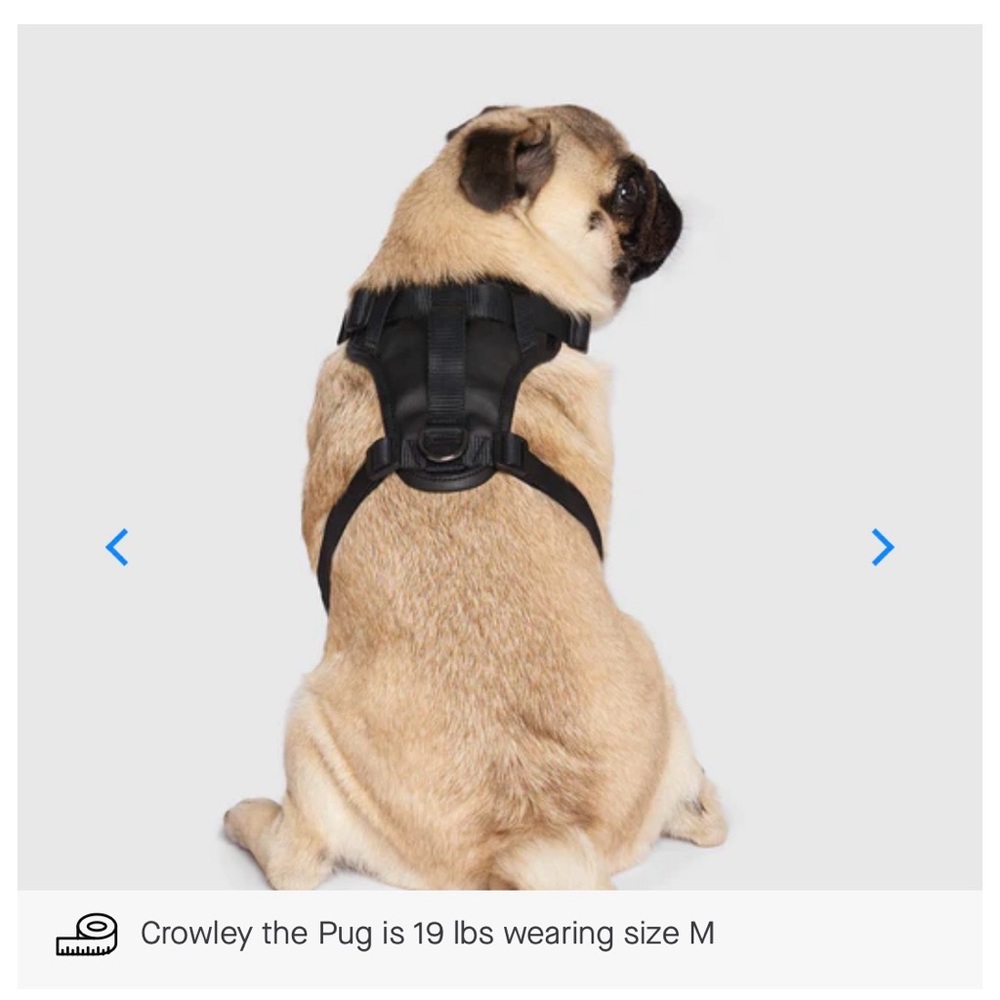 Canada Pooch Black Faux Leather Eco+ Everything Harness XL